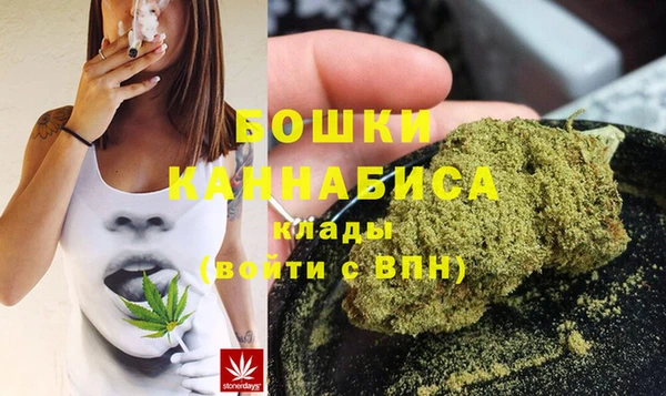 молекула духа Магадан